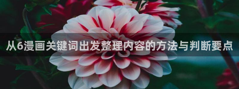 免费漫画动作漫画