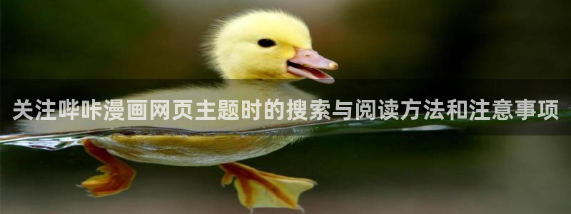 免费看漫画动作漫画