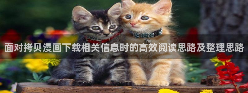 免费漫画青年漫画