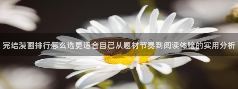 免费看漫画导航